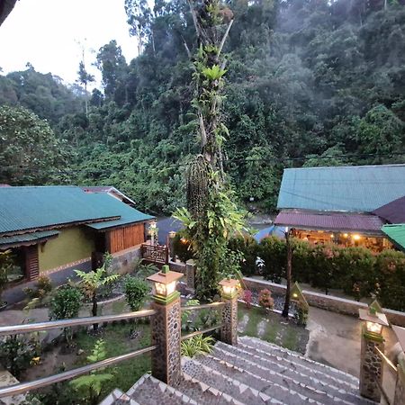 Sam'S Bungalows And Treks Bukit Lawang Kültér fotó