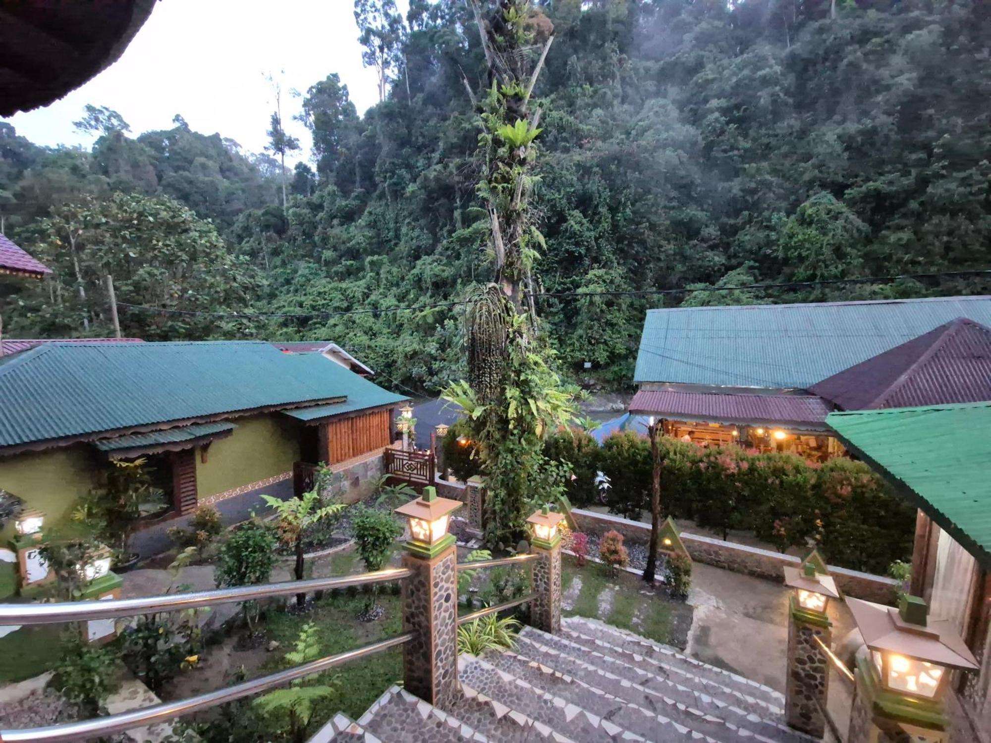 Sam'S Bungalows And Treks Bukit Lawang Kültér fotó