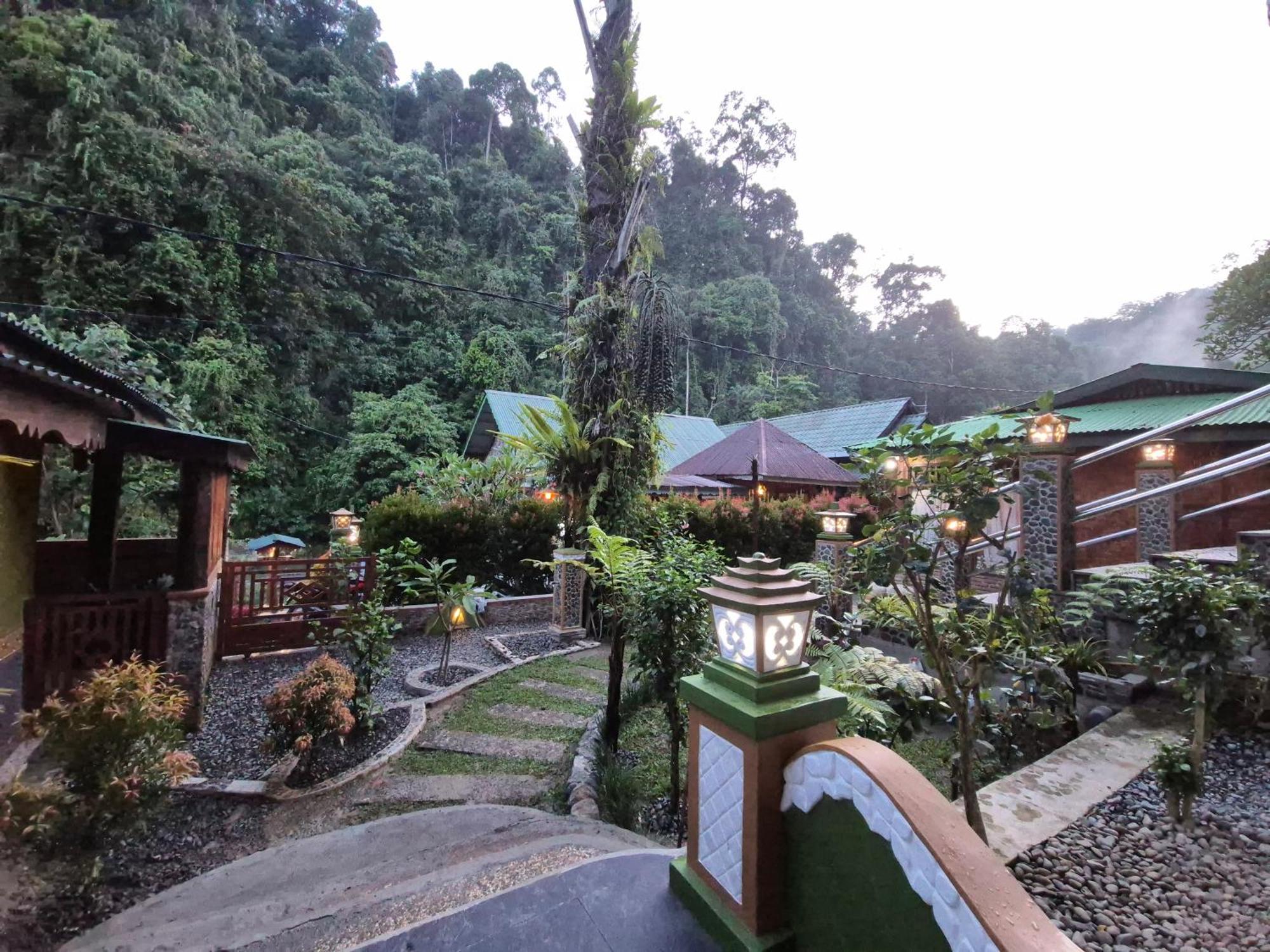 Sam'S Bungalows And Treks Bukit Lawang Kültér fotó